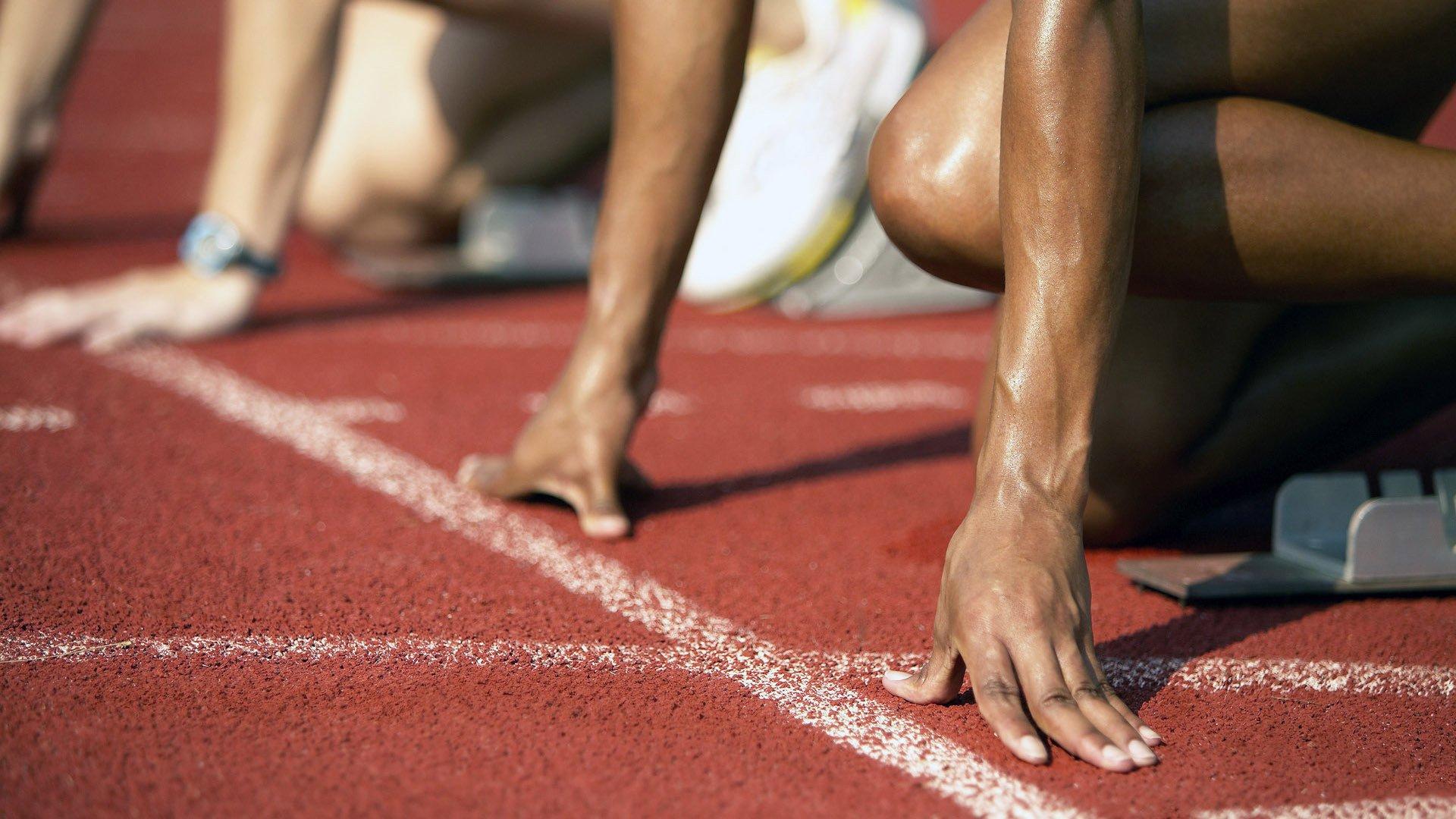 蝶泳名将再创世界纪录，泳坛新星闪耀国际赛场