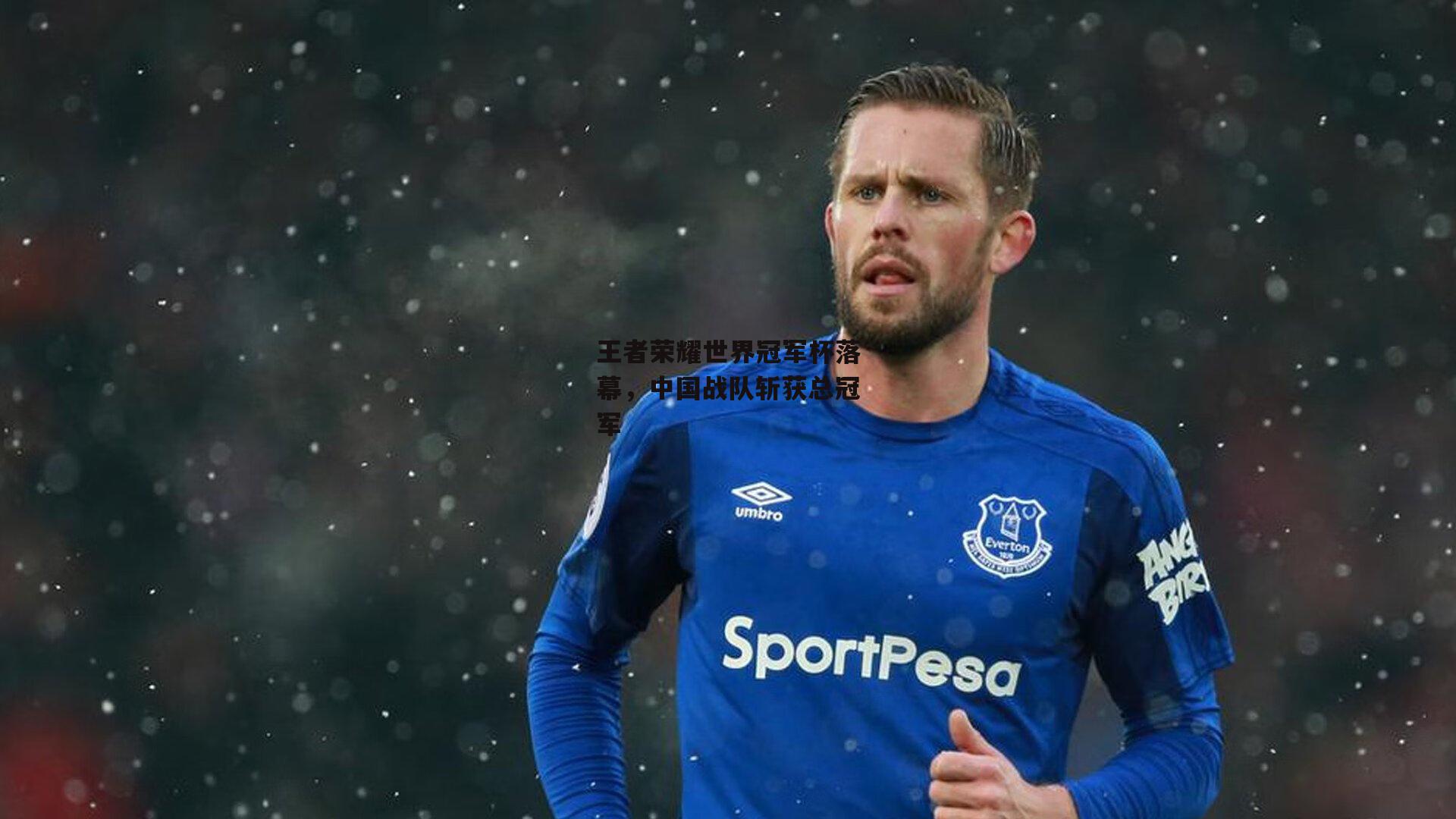 王者荣耀世界冠军杯落幕，中国战队斩获总冠军