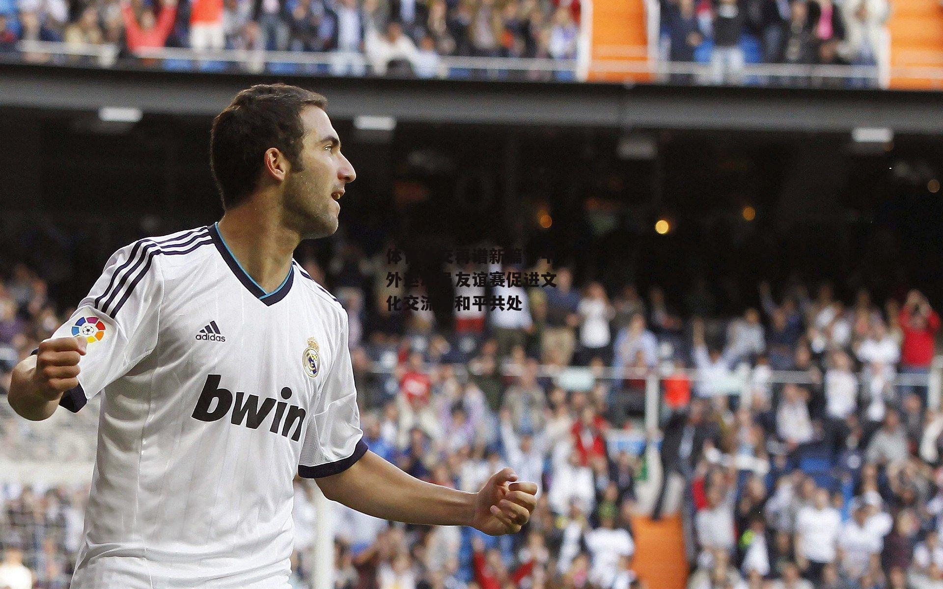 体育外交再谱新篇，中外运动员友谊赛促进文化交流与和平共处