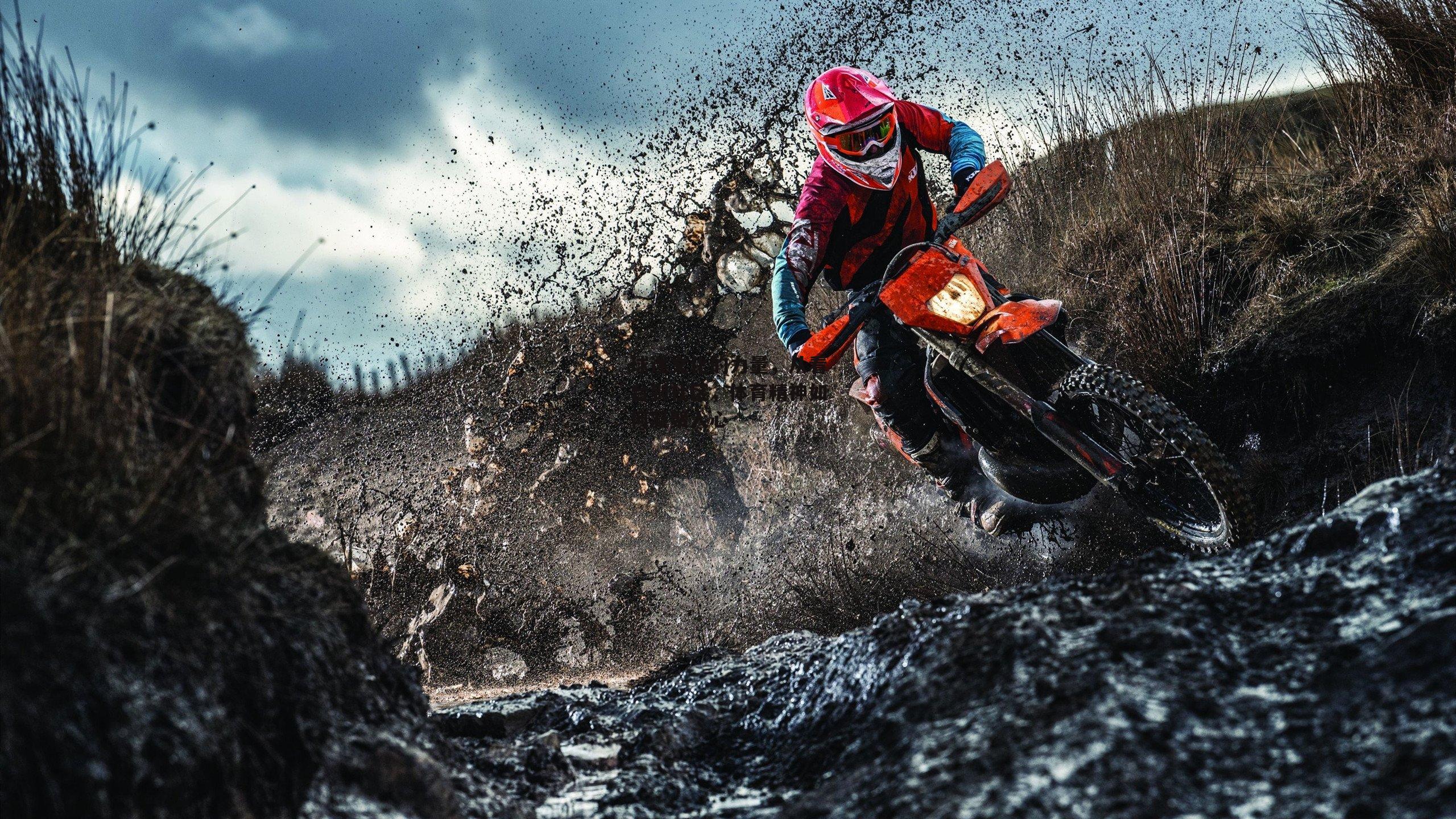 球迷文化的力量，从看台到社区<a href=