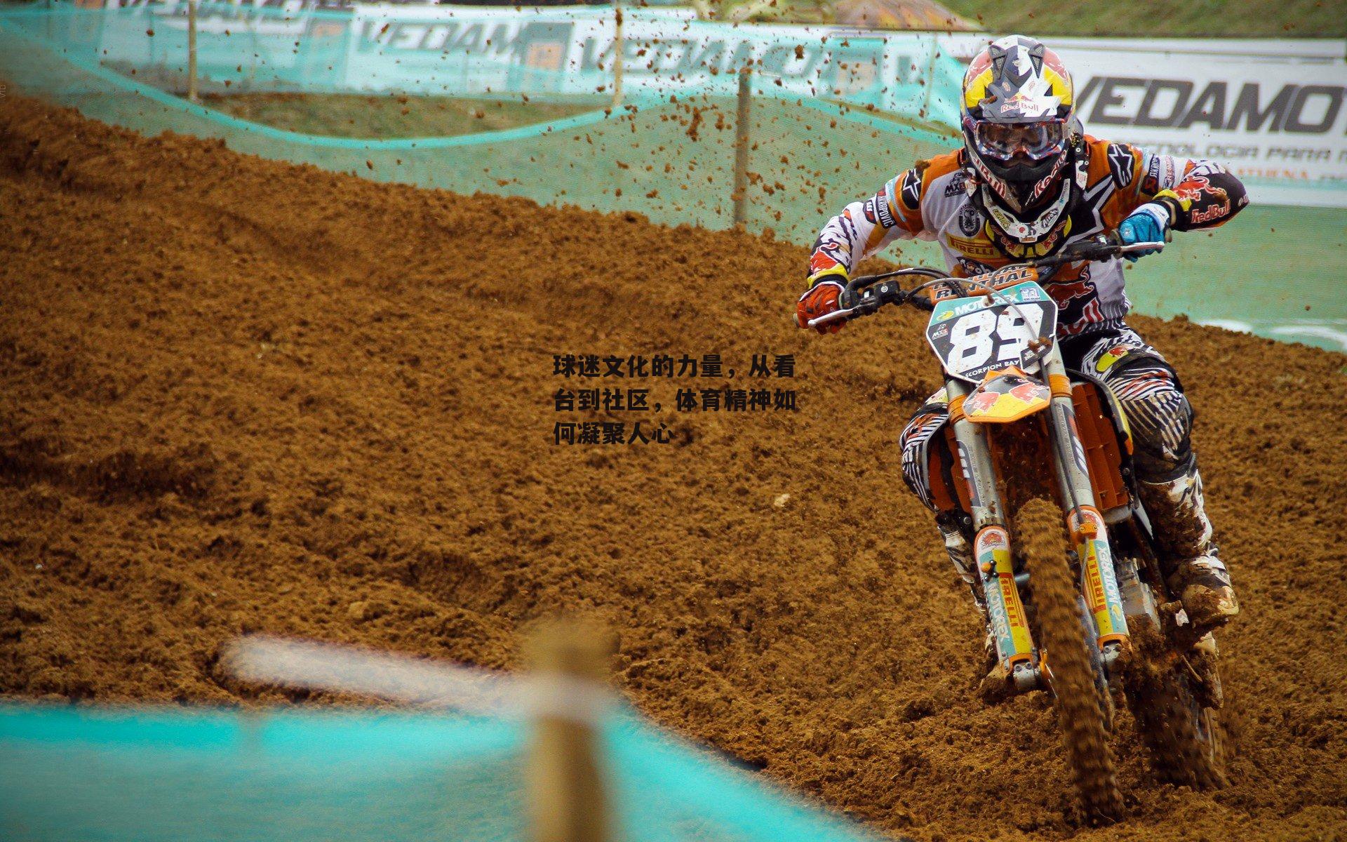 球迷文化的力量，从看台到社区，体育精神如何凝聚人心