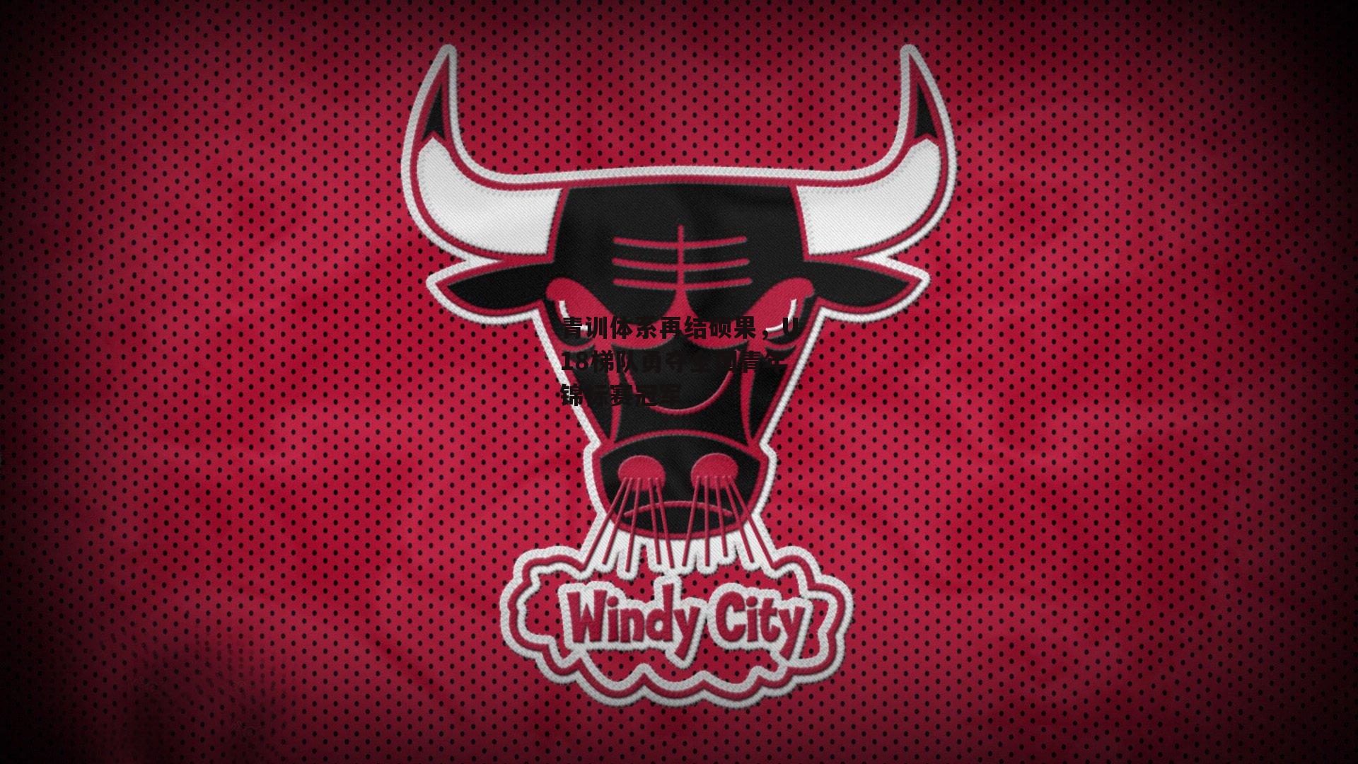 青训体系再结硕果，U18梯队勇夺全国青年锦标赛冠军